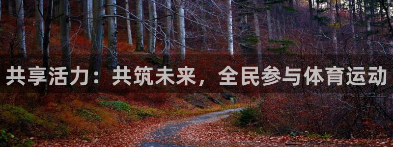 bbin视讯：共享活力：共筑未来，全民参与体育运动