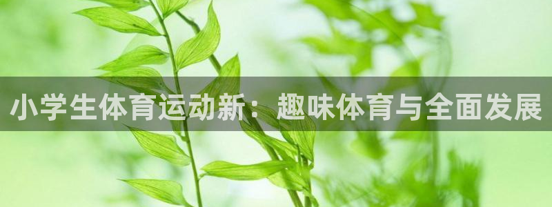 bbin视讯游戏平台：小学生体育运动新：趣味体育与全面发展