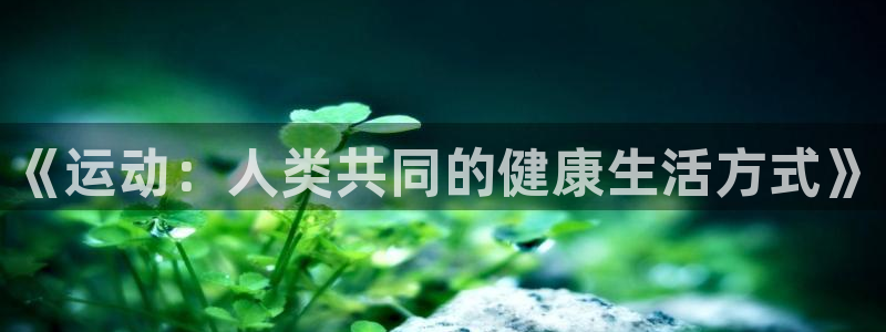 bbin视讯游戏平台：《运动：人类共同的健康生活方式》