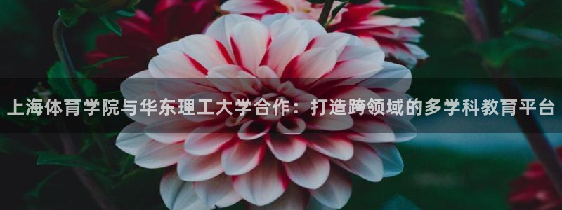 bbin视讯游戏平台：上海体育学院与华东理工大学合作：打造跨领域的多学科教育平台