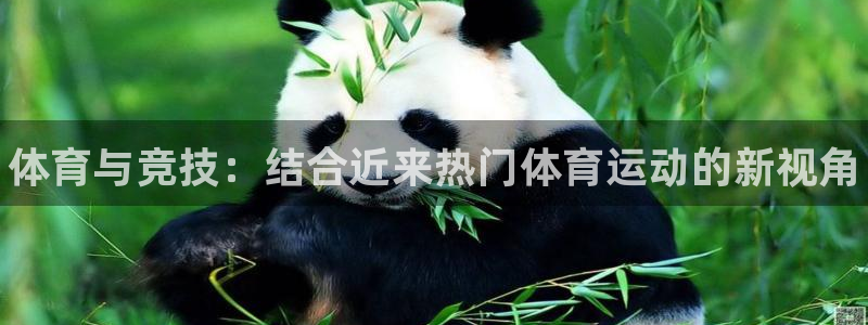 bbin视讯游戏平台：体育与竞技：结合近来热门体育运动的新视角