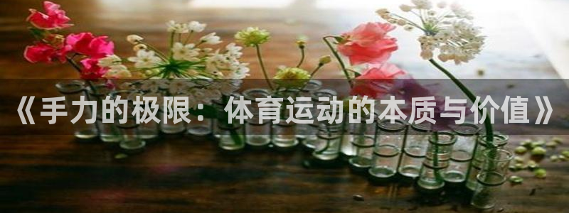 bbin视讯游戏官网