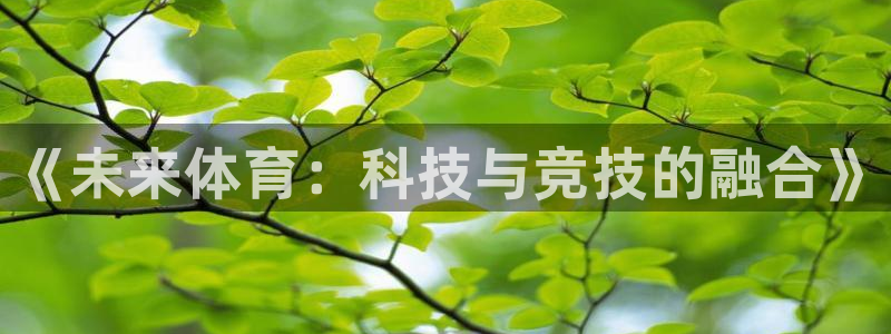 bbin视讯下：《未来体育：科技与竞技的融合》