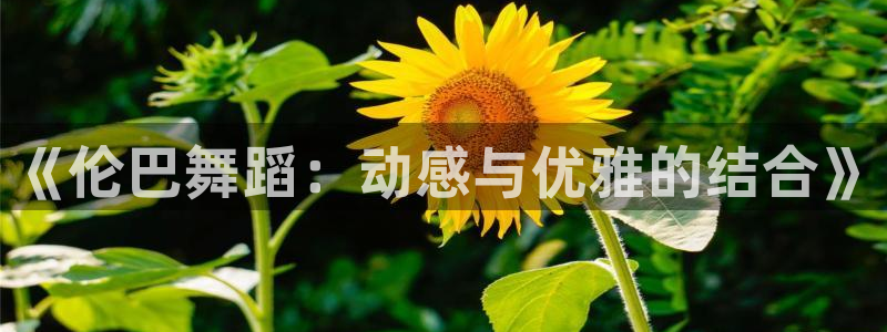bbin视讯下：《伦巴舞蹈：动感与优雅的结合》