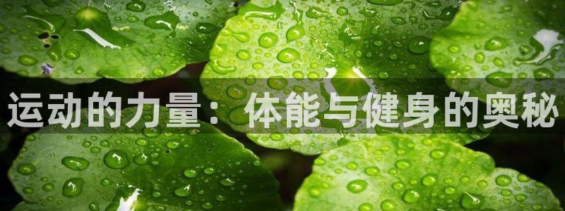 bbin视讯游戏平台：运动的力量：体能与健身的奥秘