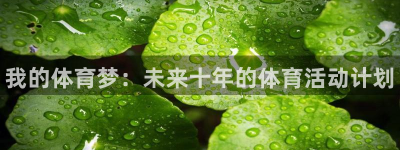 bbin视讯