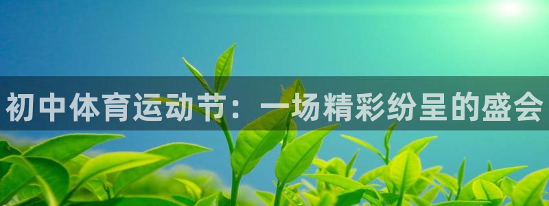 bbin视讯：初中体育运动节：一场精彩纷呈的盛会