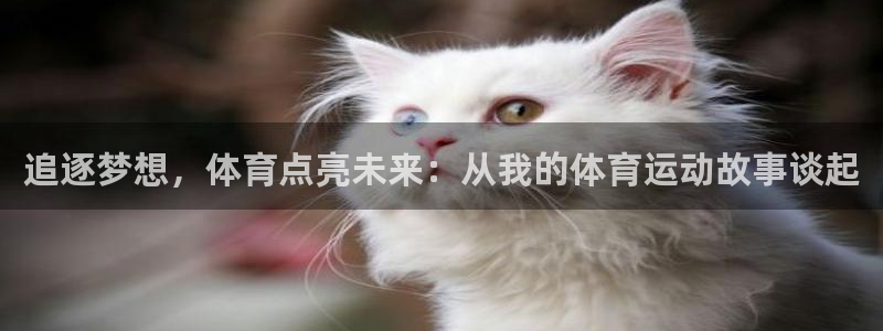 bbin视讯