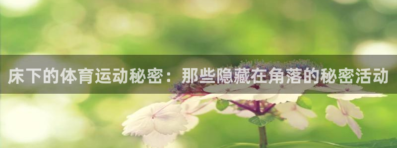 bbin视讯游戏官网