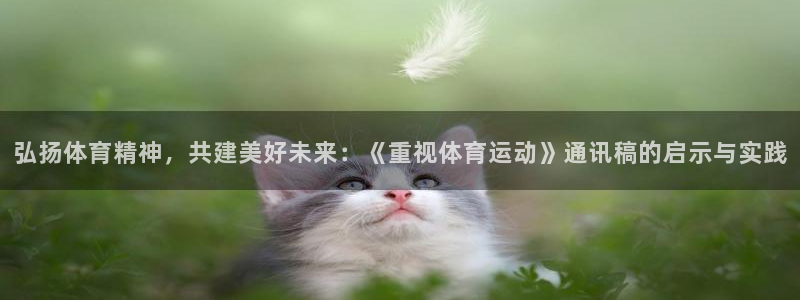 bbin视讯游戏官网：弘扬体育精神，共建美好未来：《重视体育运动》通讯稿的启示与实践