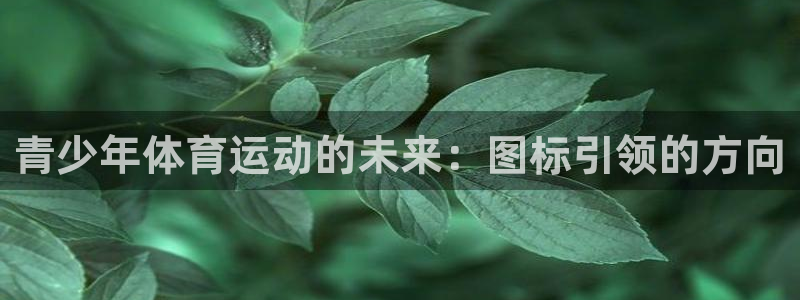 bbin视讯游戏平台：青少年体育运动的未来：图标引领的方向