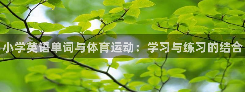 bbin视讯游戏平台：小学英语单词与体育运动：学习与练习的结合