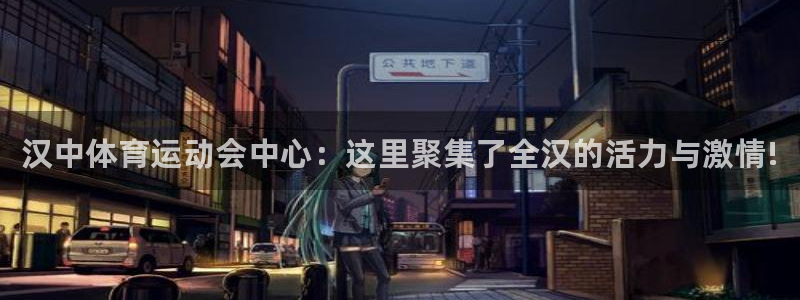 bbin视讯：汉中体育运动会中心：这里聚集了全汉的活力与激情!