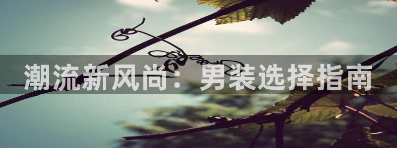 bbin视讯下：潮流新风尚：男装选择指南