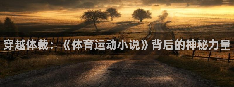 bbin视讯游戏平台：穿越体裁：《体育运动小说》背后的神秘力量