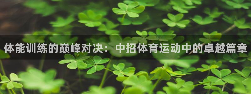 bbin视讯下：体能训练的巅峰对决：中招体育运动中的卓越篇章