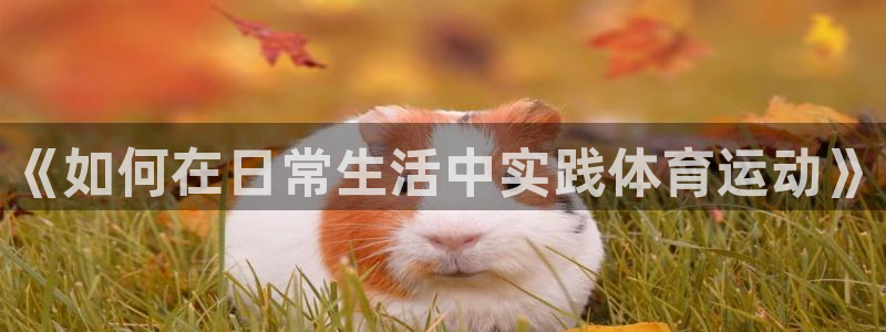 bbin视讯游戏平台：《如何在日常生活中实践体育运动》