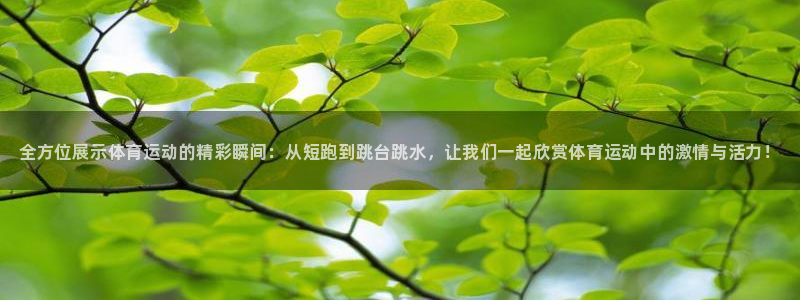 bbin视讯游戏平台：全方位展示体育运动的精彩瞬间：从短跑到跳台跳水，让我们一起欣赏体育运动中的激情与活力！