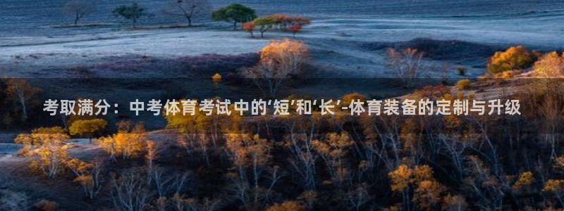 bbin视讯：考取满分：中考体育考试中的‘短’和‘长’-体育装备的定制与升级