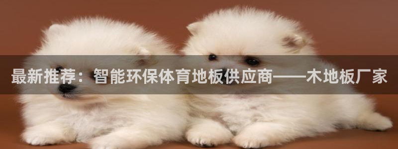 bbin视讯游戏官网：最新推荐：智能环保体育地板供应商——木地板厂家