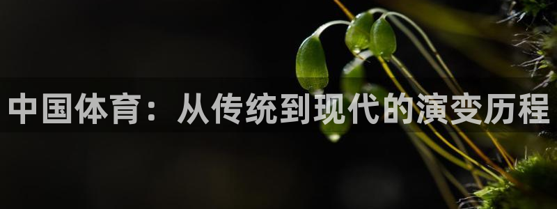 bbin视讯游戏平台：中国体育：从传统到现代的演变历程