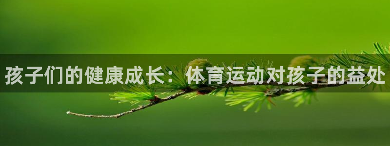 bbin视讯下