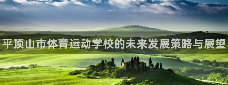bbin视讯下：平顶山市体育运动学校的未来发展策略与展望