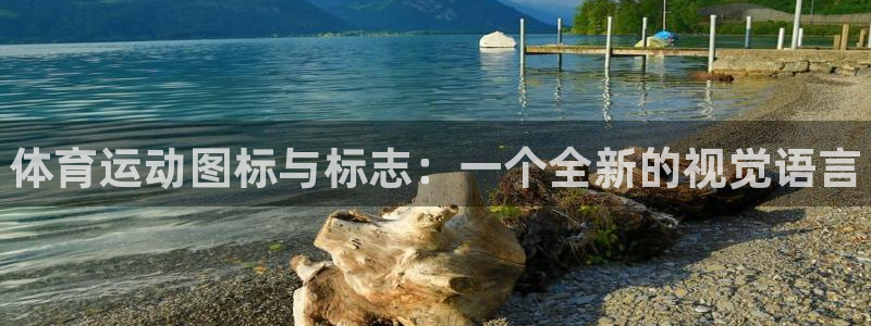 bbin视讯游戏平台：体育运动图标与标志：一个全新的视觉语言