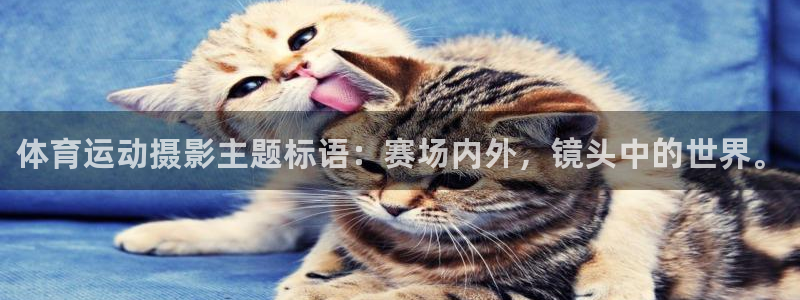 bbin视讯下：体育运动摄影主题标语：赛场内外，镜头中的世界。