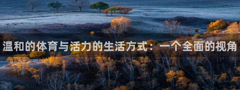 bbin视讯下：温和的体育与活力的生活方式：一个全面的视角