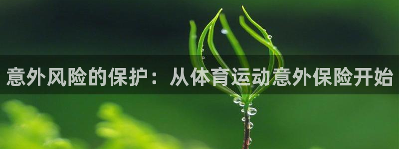 bbin视讯：意外风险的保护：从体育运动意外保险开始