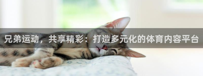 bbin视讯游戏官网：兄弟运动，共享精彩：打造多元化的体育内容平台