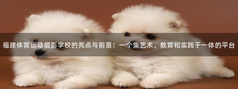 bbin视讯下：福建体育运动摄影学校的亮点与前景：一个集艺术、教育和实践于一体的平台